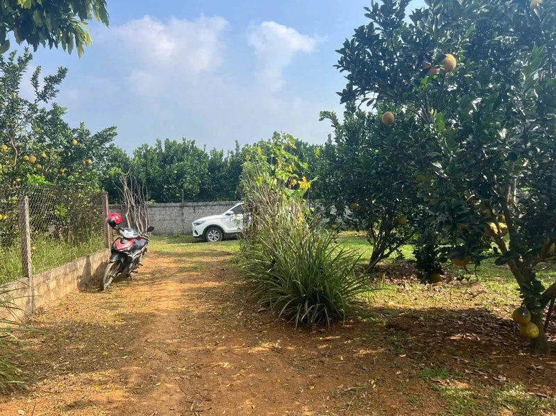 Bán đất 360m² Tân Lạc Hòa Bình 199 triệu