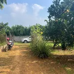 Bán đất 360m² Tân Lạc Hòa Bình 199 triệu - Ảnh thu nhỏ 1