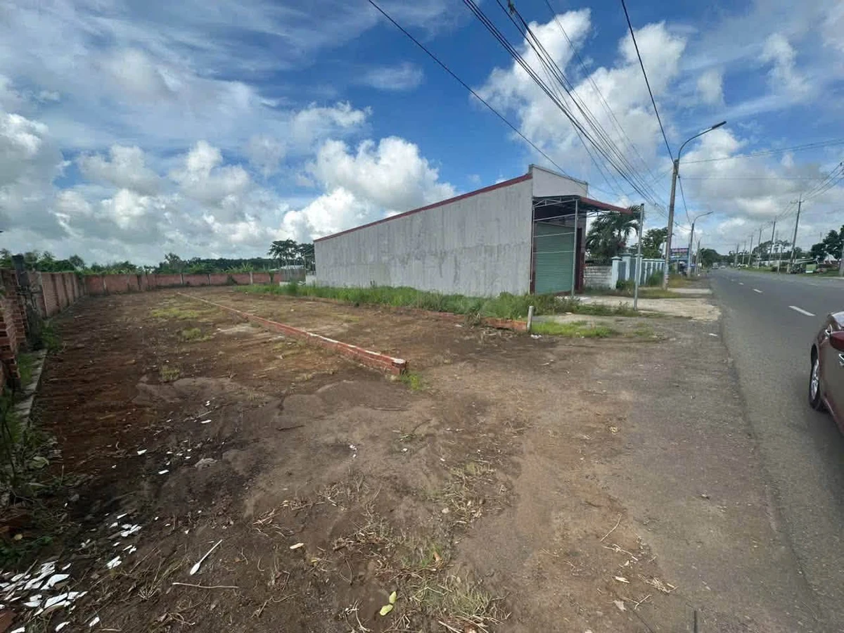 Bán đất mặt tiền QL55 750m2 tại Bình Dương 4,99 tỷ - Ảnh thu nhỏ 3