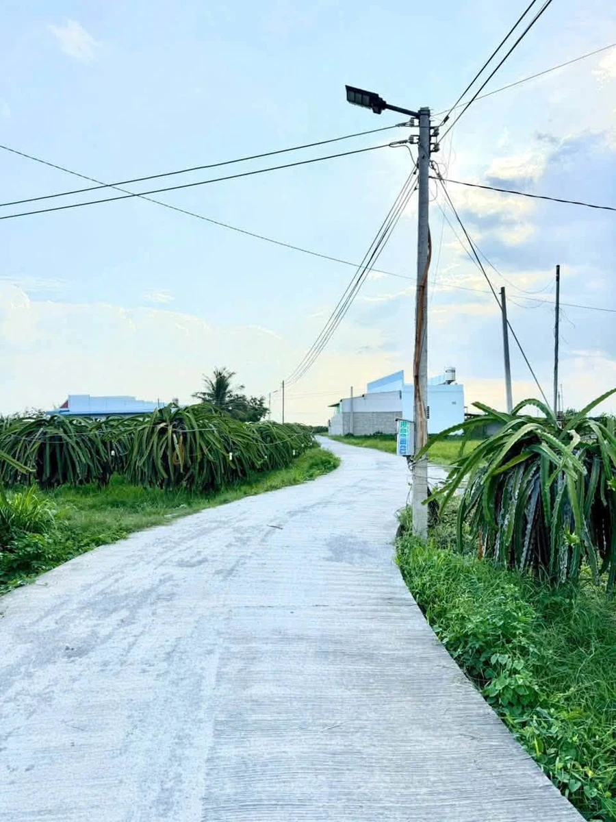 Bán đất vườn 839m² Hàm Liêm gần Phan Thiết, sổ hồng, 420 triệu - Ảnh thu nhỏ 4