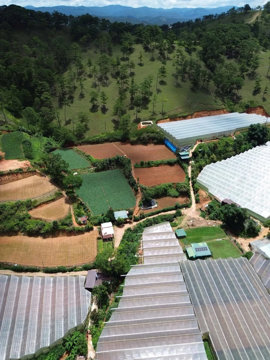 Bán 8000m² đất Đà Lạt, giá 4,5 tỷ - Ảnh thu nhỏ 3