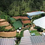Bán 8000m² đất Đà Lạt, giá 4,5 tỷ - Ảnh thu nhỏ 3