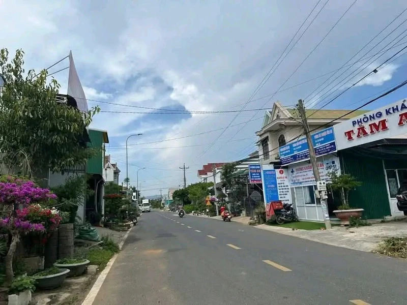 Bán đất mặt tiền Trần Hưng Đạo 115m² 2 tỷ 300 triệu Đơn Dương