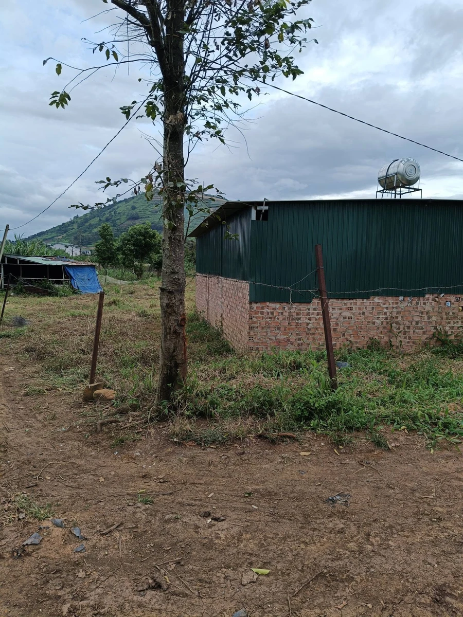 Bán đất Tân Đà Tân Hội 1213 m² 1,1 tỷ - Ảnh 1