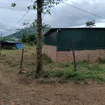 Bán đất Tân Đà Tân Hội 1213 m² 1,1 tỷ - Ảnh thu nhỏ 1
