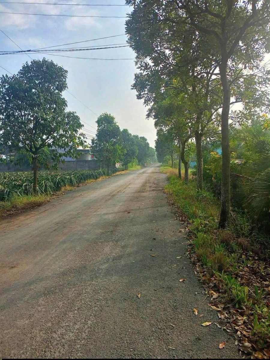 Bán đất mặt tiền Lê Văn Cảng Tân An 1700m² - Ảnh 1