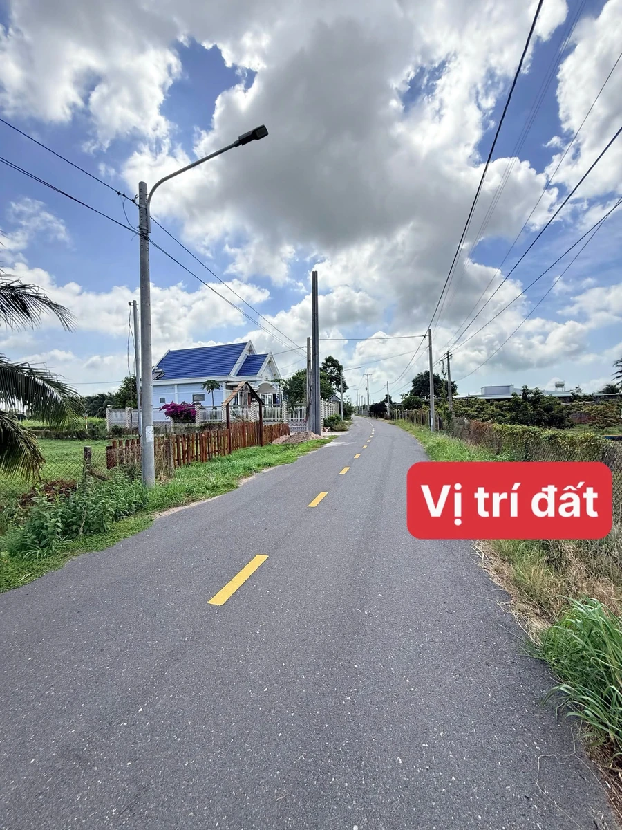Bán lô đất 220m2 đường nhựa Phước Hải, Nhà Bè - Ảnh thu nhỏ 3