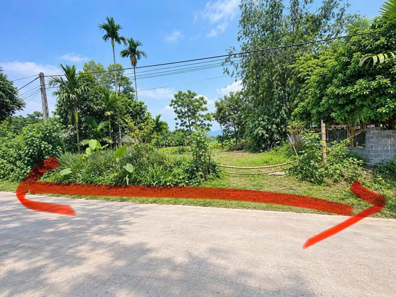 Bán đất 500m2 (100m2 thổ cư) Tân Lạc - 399 triệu