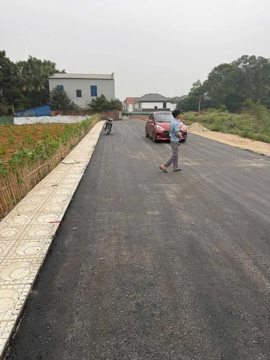 Bán đất 117m² giá 1 tỷ tại Khu 4 Thanh Đình, Hỵ Cương - Ảnh thu nhỏ 2
