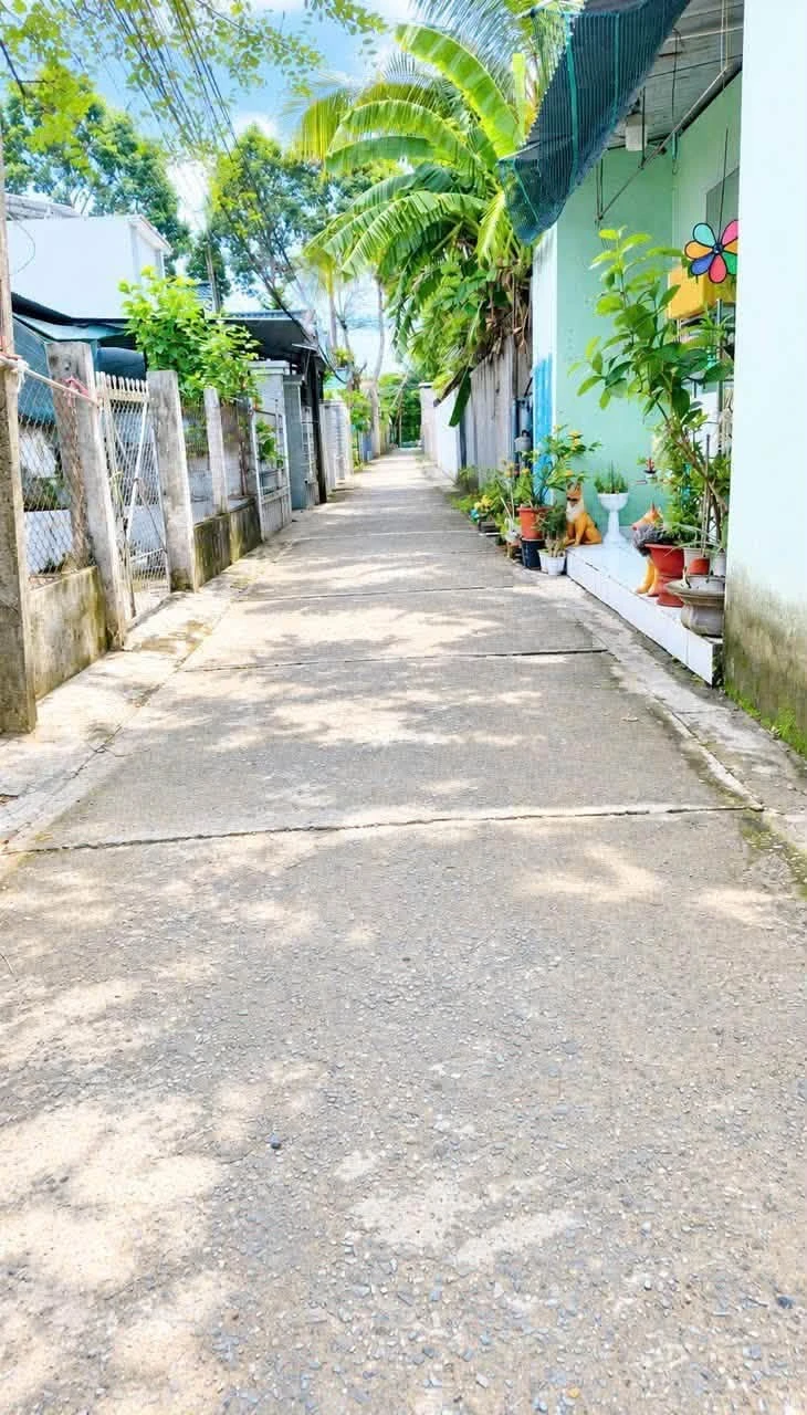 Bán đất nền Phú Hưng Phú Khương Bến Tre 147m² - Ảnh 1