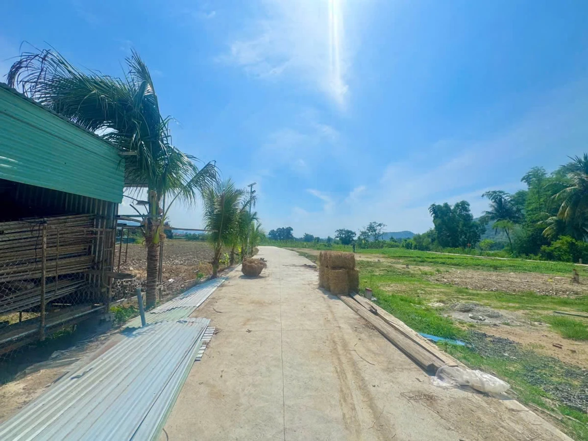 Bán đất thổ cư 75m2 giá từ 945 triệu tại Diên Khánh, Khánh Hòa - Ảnh thu nhỏ 4