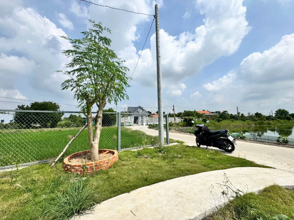 Nhà vườn 300m² full thổ cư Phước Đông, giá 1 tỷ 590 triệu - Ảnh thu nhỏ 2