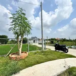 Nhà vườn 300m² full thổ cư Phước Đông, giá 1 tỷ 590 triệu - Ảnh thu nhỏ 2