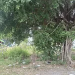 Bán đất nền Vĩnh Hiệp Nha Trang 100m2 giá 3,5 tỷ - Ảnh thu nhỏ 2