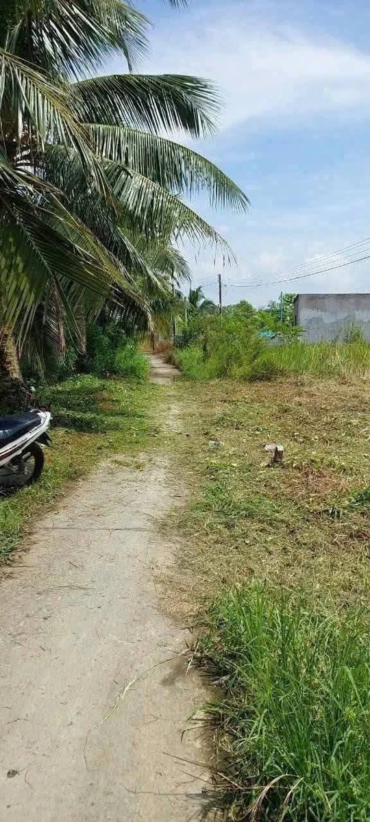 Bán đất làm nhà vườn 630m² Bình Chánh 850 triệu - Ảnh thu nhỏ 2