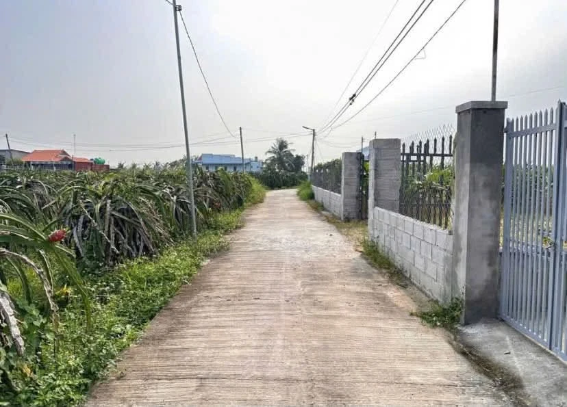 Bán đất cây trồng 200m2 tại Hàm Liêm, Khánh Hòa 180 triệu - Ảnh 1