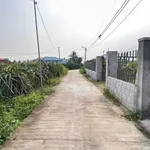 Bán đất cây trồng 200m2 tại Hàm Liêm, Khánh Hòa 180 triệu - Ảnh thu nhỏ 1