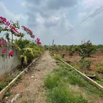 Bán nhà vườn 6,5 sào view ruộng Buôn Ma Thuột - Ảnh thu nhỏ 5
