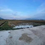 Bán đất Lúa Diên Sơn 1000m2 giá 169 triệu - Ảnh thu nhỏ 3