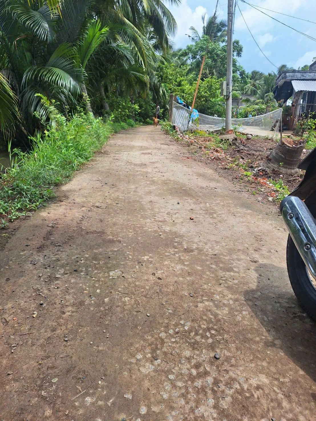 Bán đất nền 500m² An Ngãi Trung, Ba Trị - Ảnh 1