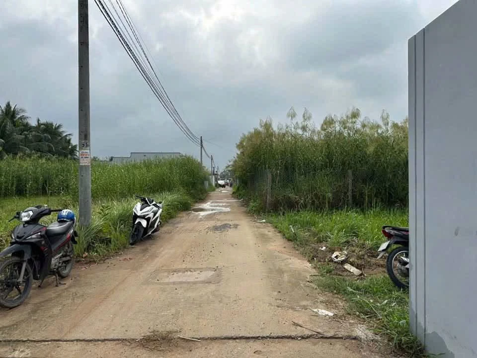 Bán 2 nền đất liền kề 300m2 thổ cư tại xã Hữu Định, Bến Tre giá 1,85 tỷ - Ảnh thu nhỏ 4