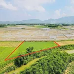 Đất bán Phong Sơn Huế 900m² mặt bê tông 89 triệu - Ảnh thu nhỏ 1