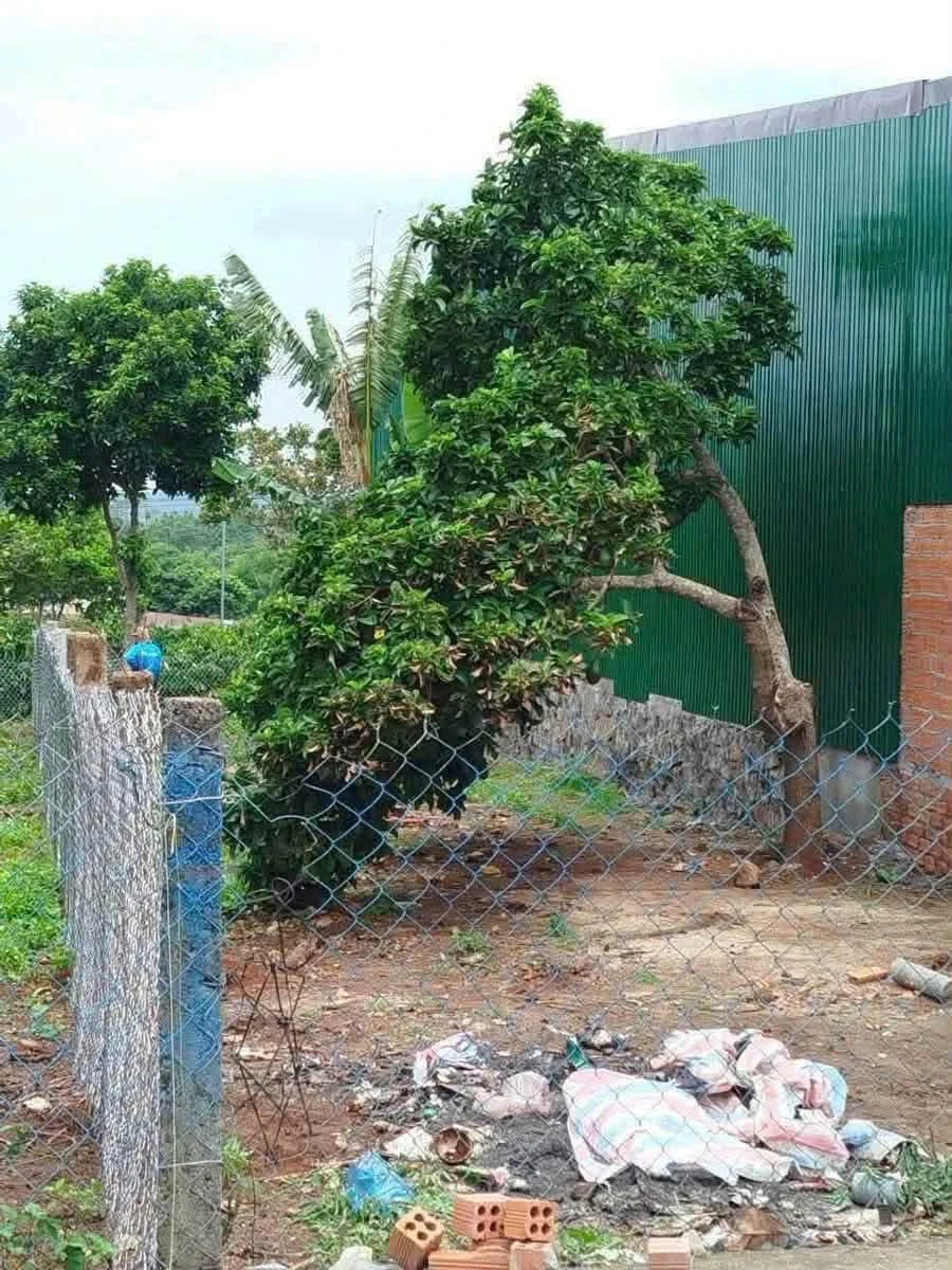 Bán lô đất 6x30m (180m²) 1 tỷ 850 triệu - Ảnh thu nhỏ 2