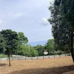 Bán gấp 2.000m2 có 200m2 thổ cư 2 mặt tiền chạy quanh đất - Ảnh thu nhỏ 17