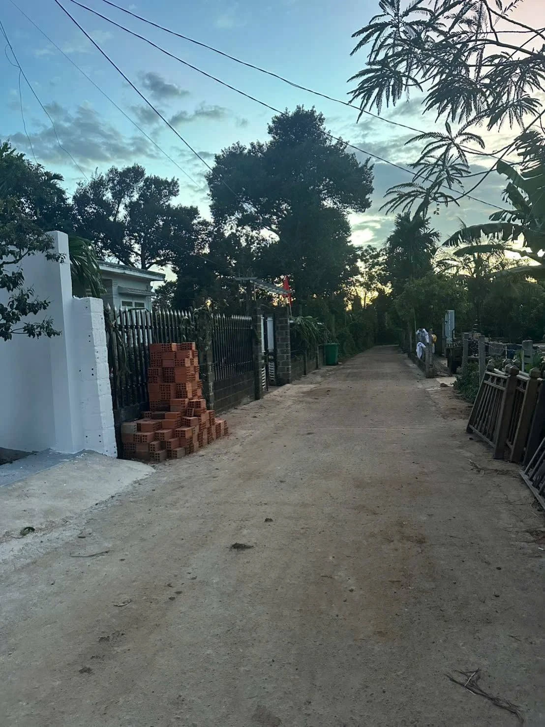 Bán nhà vườn 600m2 Nguyễn Xuân Nguyên, Bình Chánh - Ảnh 1