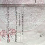 Bán lô đất vườn mít 6593m² tại Tân Phước, Đồng Tháp - Ảnh thu nhỏ 1