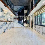 Bán nhà góc 2 mặt tiền 4x18m Nguyễn Tư Giản Gò Vấp 13.9 tỷ - Ảnh thu nhỏ 4