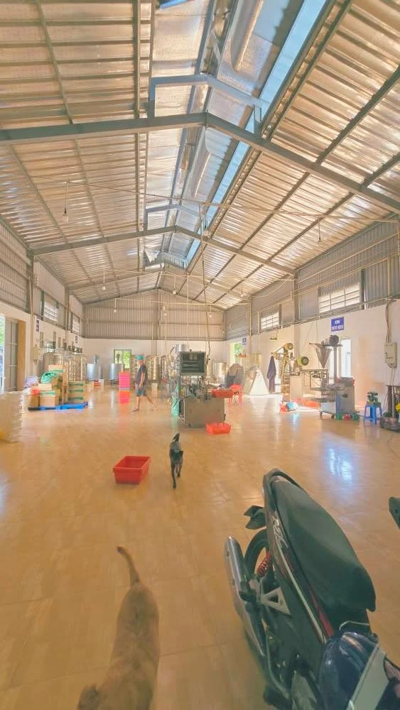 Cho thuê xưởng Bến Cát Bình Dương 120 triệu/tháng 10.000m² - Ảnh thu nhỏ 2