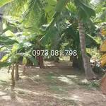 Bán đất mặt tiền Huyện Lộ 23 Bến Tre 2.325 m² - Ảnh thu nhỏ 2
