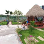 Bán đất vườn 350m² Long Tân Đất Đỏ 1 tỷ 750 triệu - Ảnh thu nhỏ 5