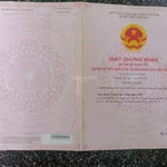 Cực rẻ, chỉ 75 triệu mua được 1,85ha đất rừng sản xuất - Ảnh thu nhỏ 2