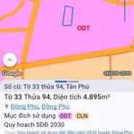 Bán đất 4800 m² Phường Đồng Phú, Đồng Nai - Ảnh thu nhỏ 2