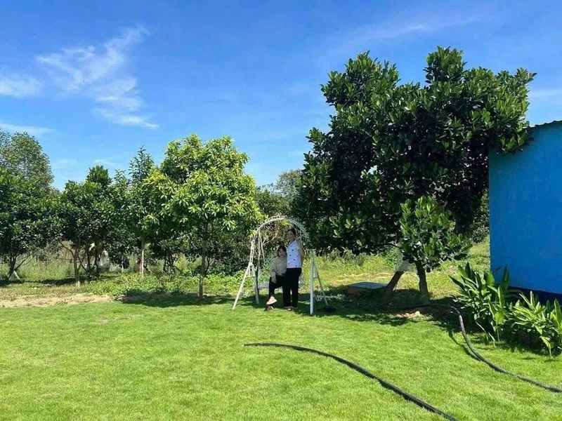 Bán farm 2ha view suối Định Quán, Đồng Nai - 5 tỷ