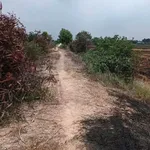 Bán đất lúa 83x120m (khoảng 1 mẫu) giá 2,1 tỷ tại Tân Tây, Thạnh Hóa, Long An - Ảnh thu nhỏ 1