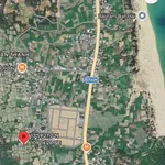 Bán đất vườn Tân Thanh Cát Hải gần biển 1000m2 - Ảnh thu nhỏ 3