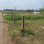 Bán nền đất 5x29m Tân Trụ Long An, sổ sẵn - Ảnh thu nhỏ 2