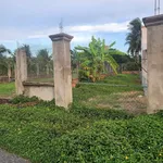 Bán đất mặt tiền Trần Văn Cầu 151m² Nhà Bè 950 triệu - Ảnh thu nhỏ 3