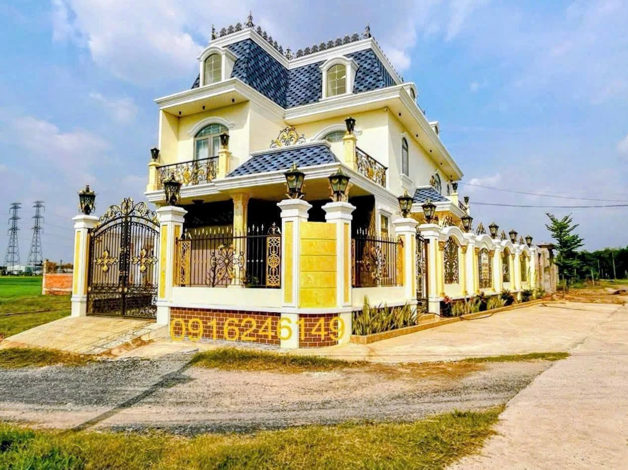Bán biệt phủ 195,5 m² Đức Hòa Long An 4 tỷ 250 - Ảnh 1