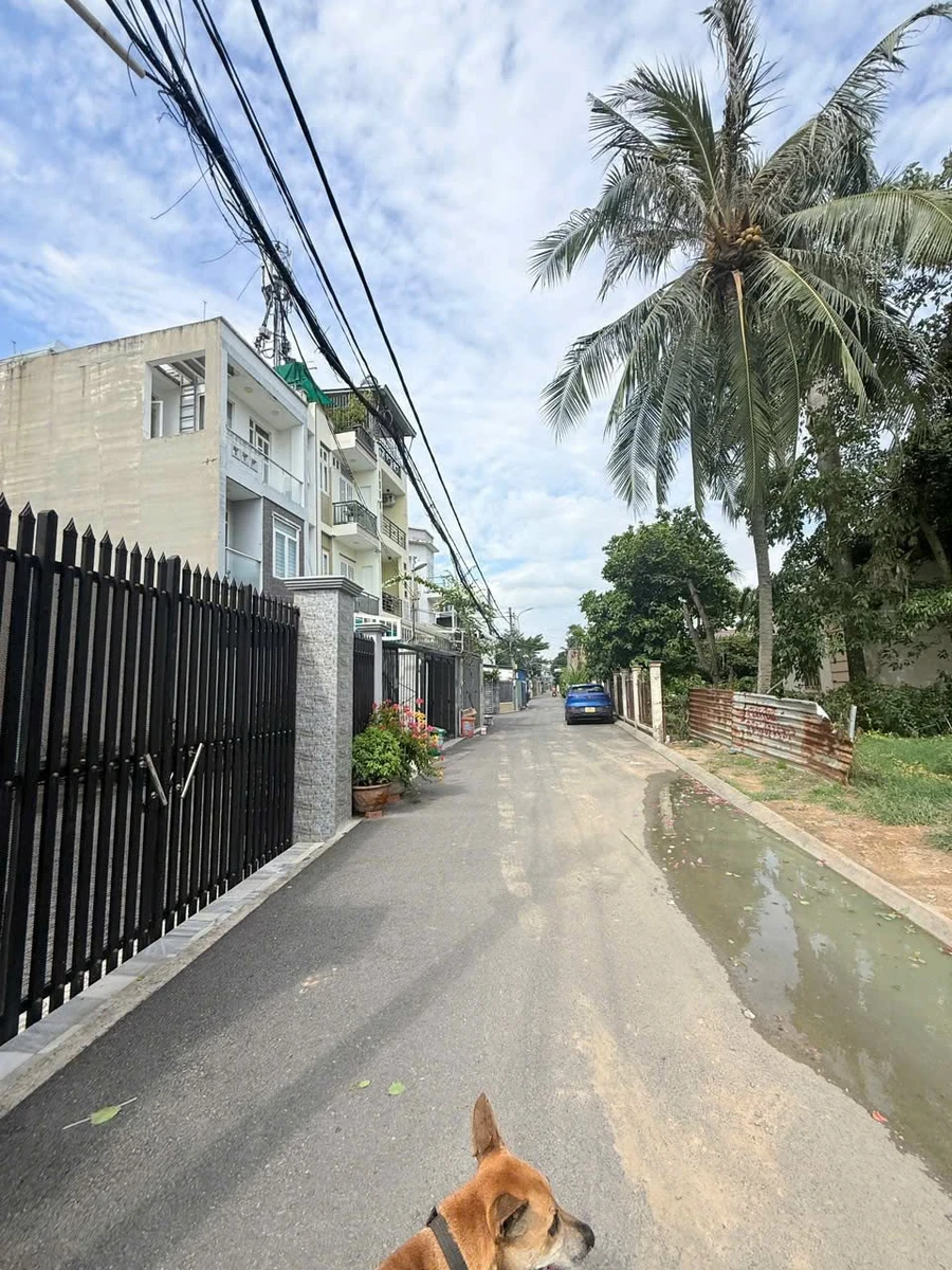 Bán đất lớn 2.143m² Linh Đông gần Gigamall Phạm Văn Đồng - Ảnh thu nhỏ 3