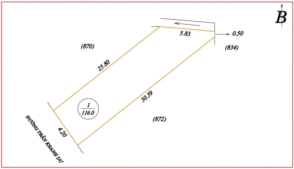 Bán đất Bình Chánh 116m2 mặt Trần Khánh Dư 3 tỷ 8 - Ảnh thu nhỏ 4