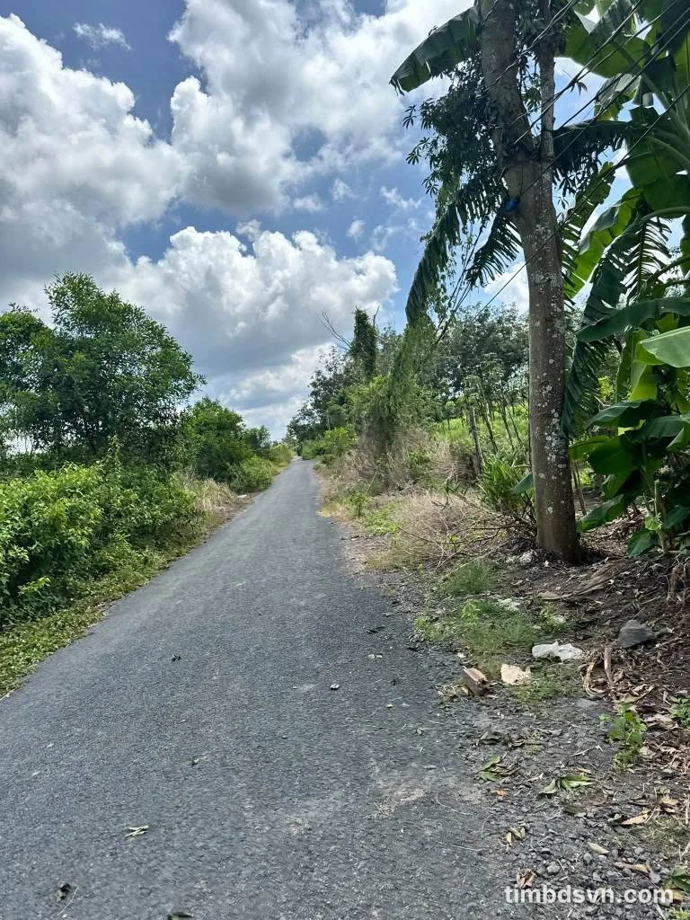 Bán đất 10800m² Phủ Hồng, Xuyên Mộc BRVT, 3 tỷ - Ảnh thu nhỏ 3