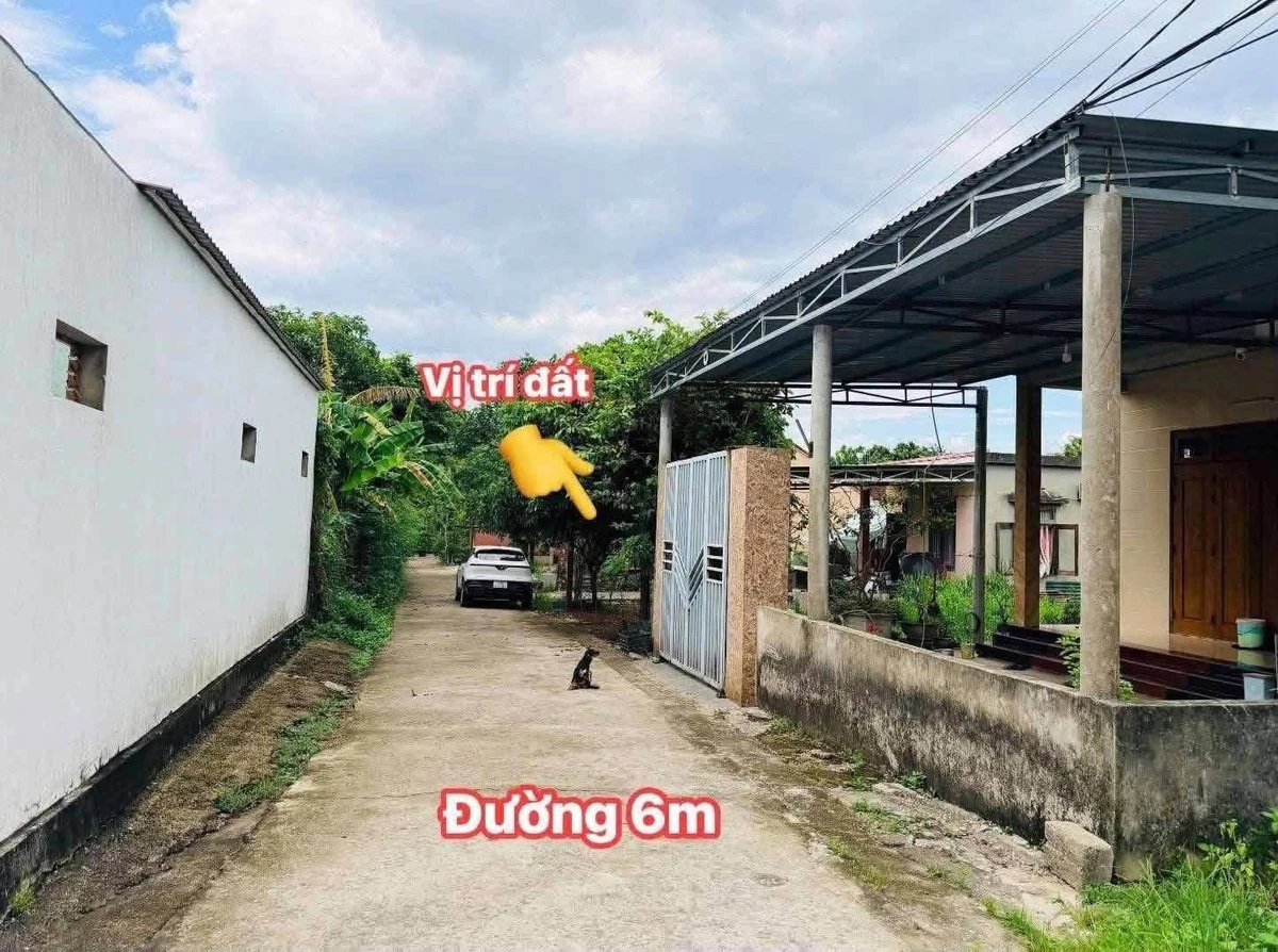 Bán đất 7x27m gần Phan Đình Phùng, Tân Bình 8xx triệu - Ảnh thu nhỏ 3