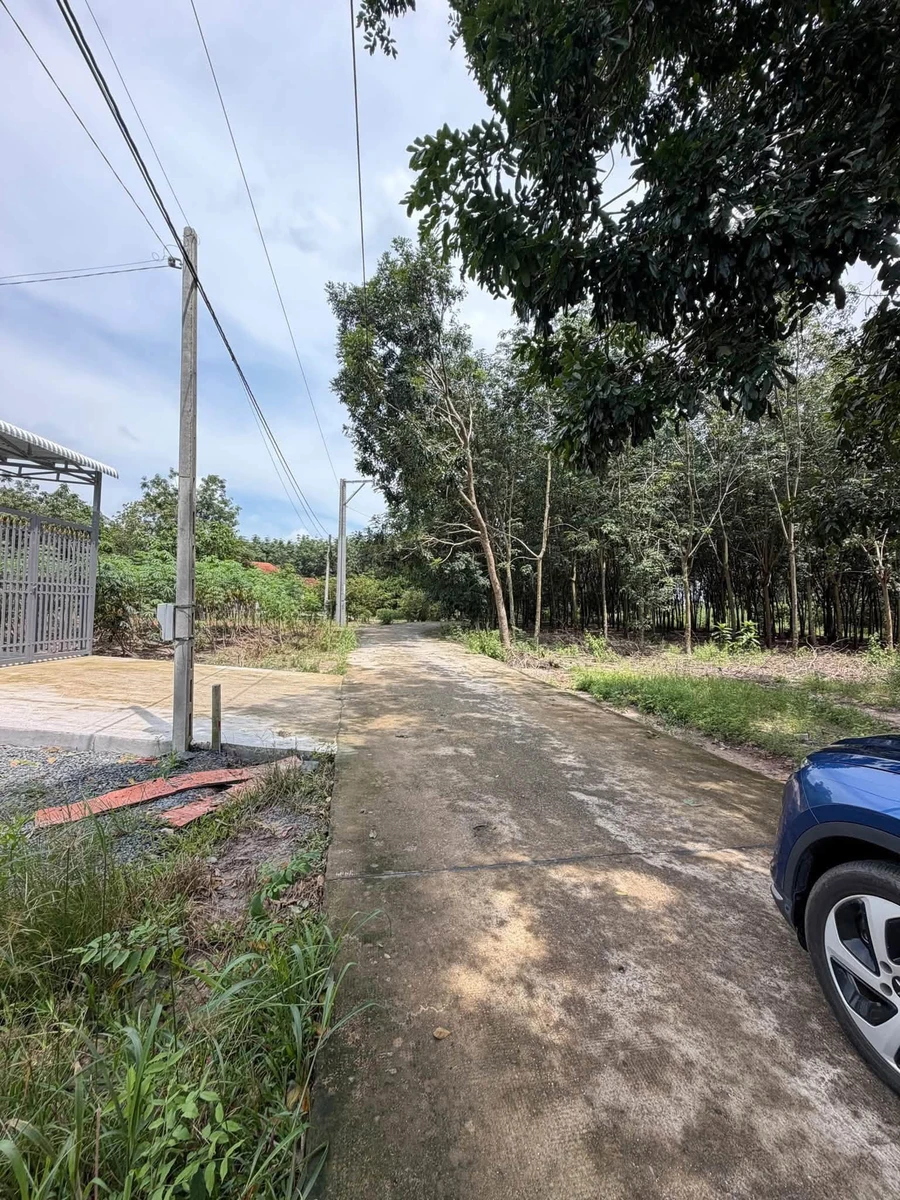 Bán 2 lô đất liền kề 5m x 39m Chơn Thành 440 triệu - Ảnh thu nhỏ 2