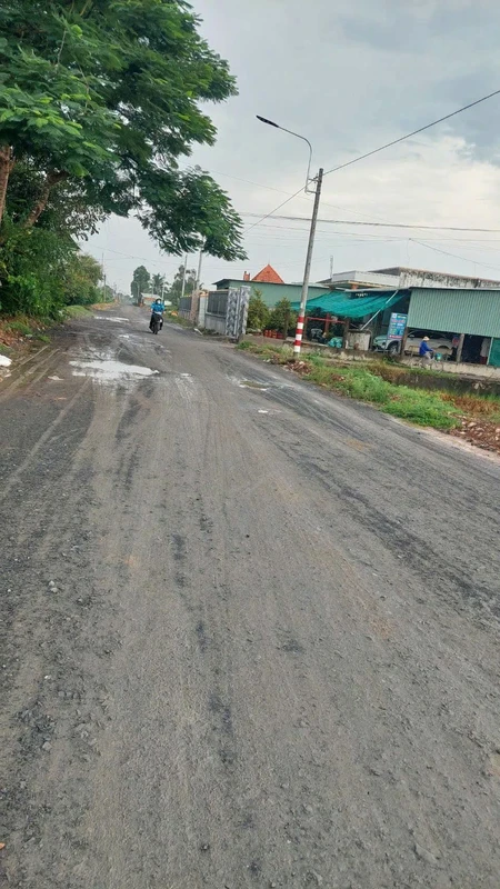 Bán lô đất thổ cư 133 m2 Mỷ An, Thủ Thừa, Long An