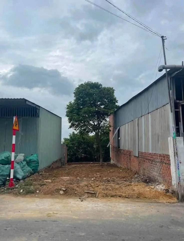 Bán đất SHR mặt tiền Trương Văn Vĩnh 96m² Dĩ An - Ảnh 1