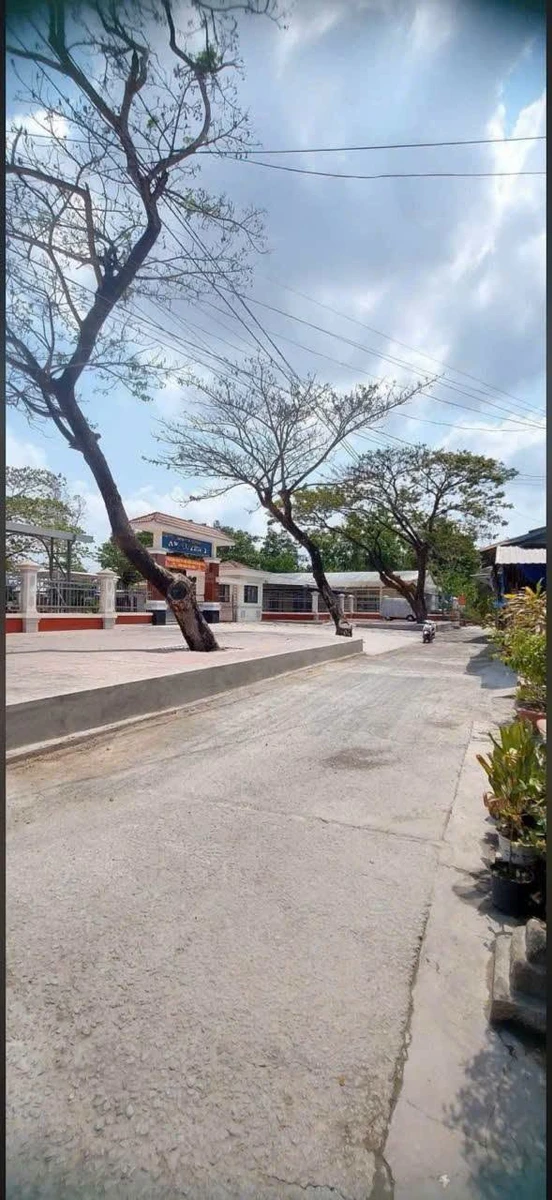 Bán đất nền 5x60m, 75m2 thổ cư, sổ hồng riêng, giá 340 triệu tại An Xuyên, Cà Mau - Ảnh thu nhỏ 2